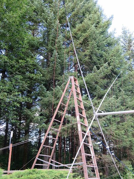 IMG_0643.JPG - The reflector end of the antenna. That is a 15 foot ladder!